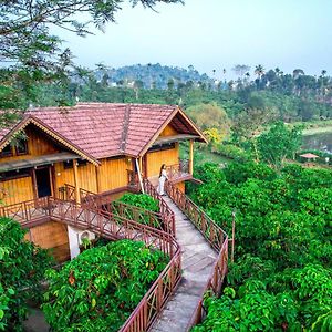 Niyatma Wayanad Pool Resort By Voye Homes
